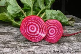 Image result for rote Bete