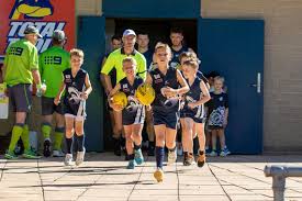 Image result for Henley Netball Club