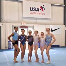 Image result for Hemsworth Odyssey Gymnastics Squad