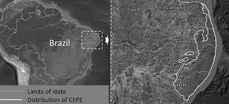 Attēlu rezultāti vaicājumam “Badhamiopsis scripta sessile”