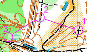 Image result for Dartford Orienteers (DFOK)