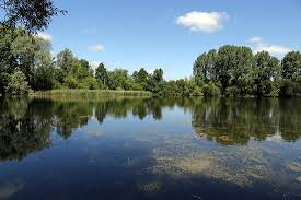 Image result for Steeple Langford Cricket Club