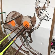 Image result for Silver Arrow Archery