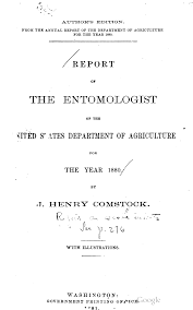 Attēlu rezultāti vaicājumam “Chionaspis salicis imago”