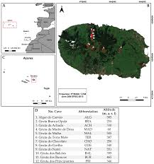Attēlu rezultāti vaicājumam “Serpoleskea confervoides”