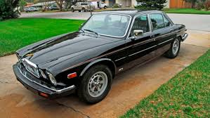 Image result for Curlew 1986 Jaguar