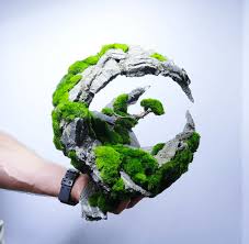 Attēlu rezultāti vaicājumam “Didymodon rigidulus”