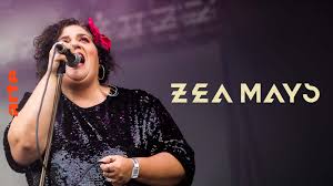 Attēlu rezultāti vaicājumam “Zea mays”