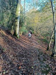 Image result for Mid Surrey Ramblers