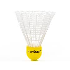 Image result for Carlton Badminton Club