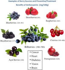 Attēlu rezultāti vaicājumam “Vaccinium myrtillus fruit”