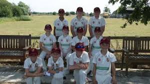 Image result for South Wilts Cricket Club