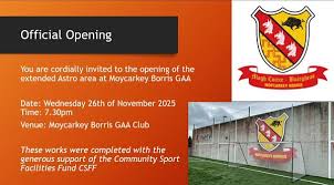 Image result for Moycarkey-Borris Gaa Club