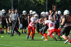 Image result for Edinburgh Wolves