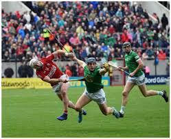 Image result for hurling