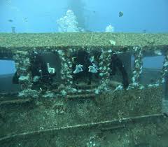 Image result for Droylsden Sub Aqua Club