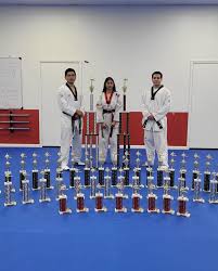 Image result for Red Dragon Taekwondo club