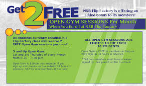 Image result for The Flip Factory Gymnastics Club