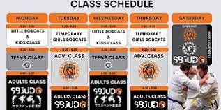 Image result for Southend Judo Club