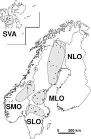 Attēlu rezultāti vaicājumam “Scorpidium revolvens”