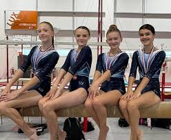 Image result for Torbay Olympic Gymnastics Club