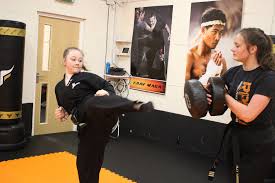 Image result for Kidderminster Tae Kwon Do Tigers