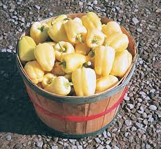 Afbeeldingsresultaat voor hungarian sweet white sweet pepper