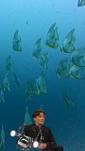 Image result for Seaquest Divers