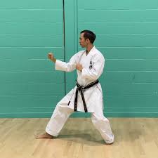 Image result for Kenshukai Karate