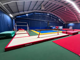 Image result for Asymmetrix Gymnastics Club