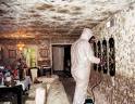 How to Get Rid of Mold Quickly - InfoBarrel