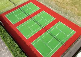 Image result for Phoenix (Aylesbury) Badminton Club