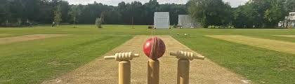 Image result for London Fields Cricket Club