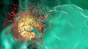 Image result for фотография вируса вич