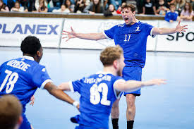 Image result for Deva Handball Club