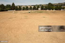 Image result for Lansdown Cricket Club
