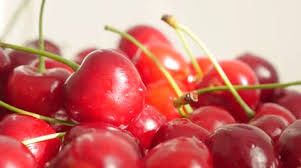 Attēlu rezultāti vaicājumam “Cerasus fruit”