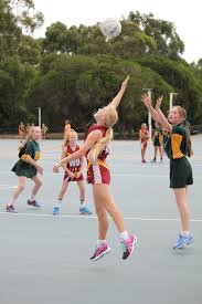 Image result for Wombles Netball Club