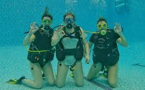 Image result for Bedford Scuba Divers
