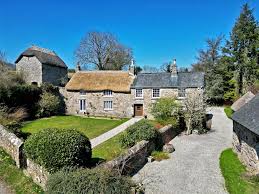 Image result for Newton Abbott Knights