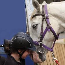 Image result for Riding For The Disabled Association