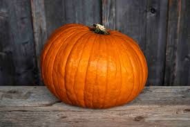 Image result for Kürbis