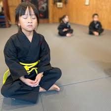 Image result for Bushido Academy Of Martial Arts (Bama)