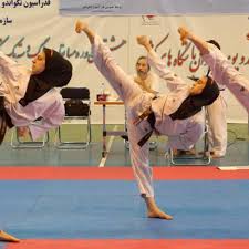 Image result for Hed Tkd (Dorking Tae Kwon-Do)