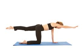 Image result for Pilates Mat Work Classes