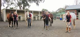 Image result for The Riding Centre