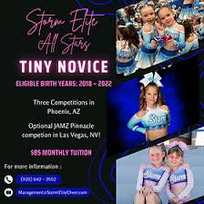 Image result for Storm Elite Trampoline Club