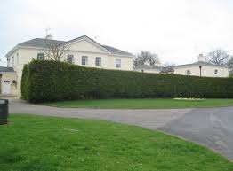 Image result for Welwyn Garden City Bowls Club