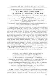 Attēlu rezultāti vaicājumam “Calypogeia azurea”