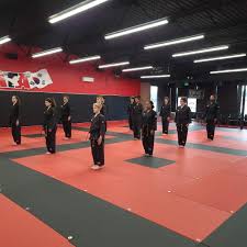 Image result for ATA Martial Arts Mobile